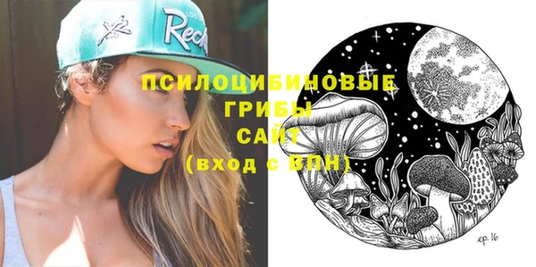 сатива Пересвет