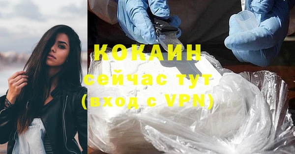 сатива Пересвет